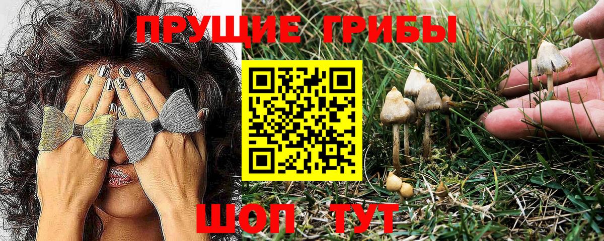 купить закладку  Вход с VPN  Ялуторовск  Галлюциногенные грибы GOLDEN TEACHER 